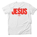 IN JESUS NAME