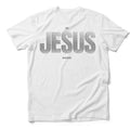 IN JESUS NAME