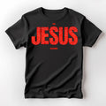 IN JESUS NAME
